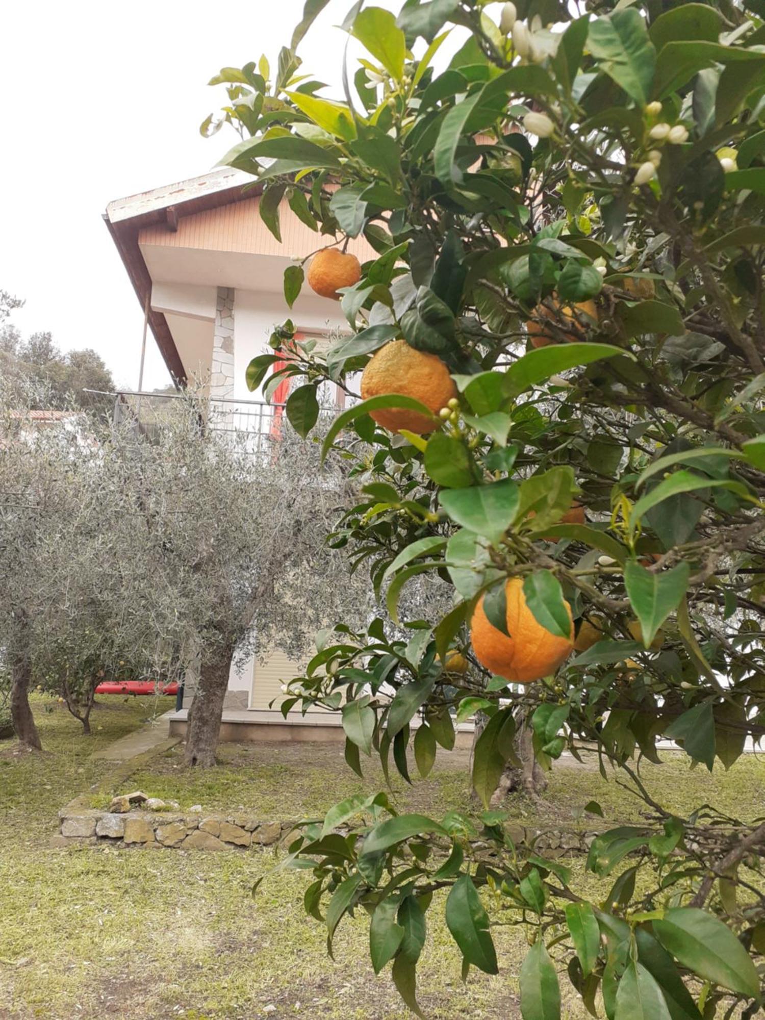 Casetta Al Mare Giustenice Exterior foto